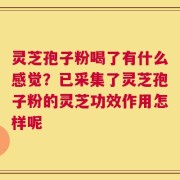 灵芝孢子粉喝了有什么感觉？已采集了灵芝孢子粉的灵芝功效作用怎样呢