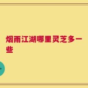 烟雨江湖哪里灵芝多一些