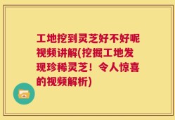 工地挖到灵芝好不好呢视频讲解(挖掘工地发现珍稀灵芝！令人惊喜的视频解析)