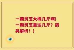 一颗灵芝大概几斤啊(一颗灵芝重达几斤？搞笑解析！)