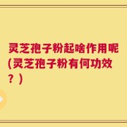 灵芝孢子粉起啥作用呢(灵芝孢子粉有何功效？)