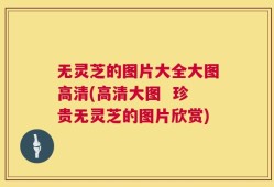 无灵芝的图片大全大图高清(高清大图  珍贵无灵芝的图片欣赏)