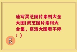 速写灵芝图片素材大全大图(灵芝图片素材大合集，高清大图看不停！)
