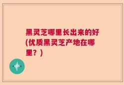 黑灵芝哪里长出来的好(优质黑灵芝产地在哪里？)