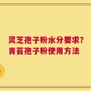 灵芝孢子粉水分要求？青苔孢子粉使用方法