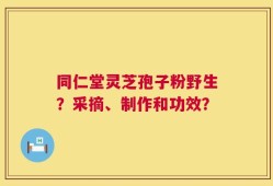 同仁堂灵芝孢子粉野生？采摘、制作和功效？