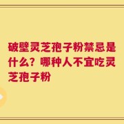 破壁灵芝孢子粉禁忌是什么？哪种人不宜吃灵芝孢子粉
