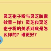 灵芝孢子粉与灵芝胶囊效果一样？灵芝和灵芝孢子粉的关系到底是怎么样的？谁更好？