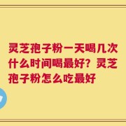 灵芝孢子粉一天喝几次什么时间喝最好？灵芝孢子粉怎么吃最好