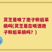 灵芝是喷了孢子粉后采摘吗(灵芝是在喷洒孢子粉后采摘吗？)