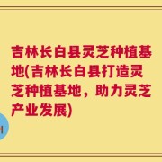 吉林长白县灵芝种植基地(吉林长白县打造灵芝种植基地，助力灵芝产业发展)