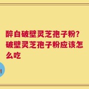 醉白破壁灵芝孢子粉？破壁灵芝孢子粉应该怎么吃