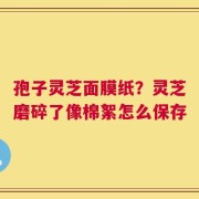 孢子灵芝面膜纸？灵芝磨碎了像棉絮怎么保存