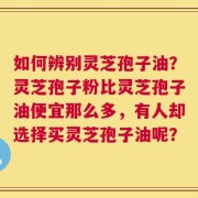 如何辨别灵芝孢子油？灵芝孢子粉比灵芝孢子油便宜那么多，有人却选择买灵芝孢子油呢？