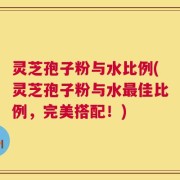灵芝孢子粉与水比例(灵芝孢子粉与水最佳比例，完美搭配！)