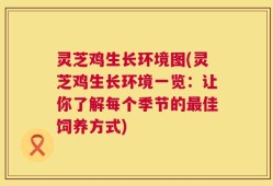 灵芝鸡生长环境图(灵芝鸡生长环境一览：让你了解每个季节的最佳饲养方式)