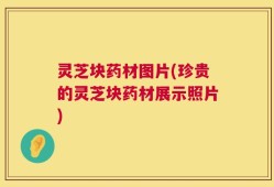 灵芝块药材图片(珍贵的灵芝块药材展示照片)