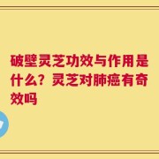 破壁灵芝功效与作用是什么？灵芝对肺癌有奇效吗