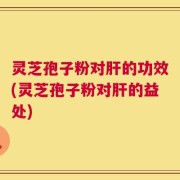 灵芝孢子粉对肝的功效(灵芝孢子粉对肝的益处)