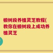 椴树段养植灵芝教程(教你在椴树段上成功养植灵芝