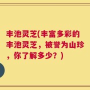丰池灵芝(丰富多彩的丰池灵芝，被誉为山珍，你了解多少？)