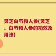 灵芝白芍和人参(灵芝、白芍和人参的功效及用法)