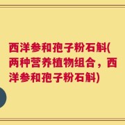 西洋参和孢子粉石斛(两种营养植物组合，西洋参和孢子粉石斛)