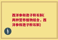 西洋参和孢子粉石斛(两种营养植物组合，西洋参和孢子粉石斛)