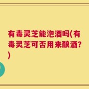 有毒灵芝能泡酒吗(有毒灵芝可否用来酿酒？)