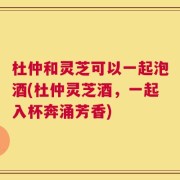 杜仲和灵芝可以一起泡酒(杜仲灵芝酒，一起入杯奔涌芳香)