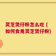 灵芝煲仔粉怎么吃 (如何食用灵芝煲仔粉)