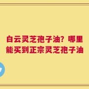 白云灵芝孢子油？哪里能买到正宗灵芝孢子油