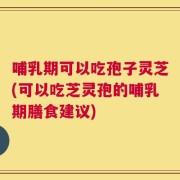 哺乳期可以吃孢子灵芝(可以吃芝灵孢的哺乳期膳食建议)
