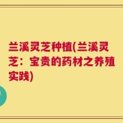 兰溪灵芝种植(兰溪灵芝：宝贵的药材之养殖实践)
