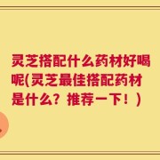 灵芝搭配什么药材好喝呢(灵芝最佳搭配药材是什么？推荐一下！)
