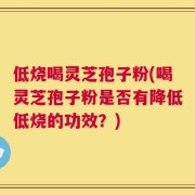 低烧喝灵芝孢子粉(喝灵芝孢子粉是否有降低低烧的功效？)