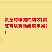 灵芝对甲减的功效(灵芝可以有效缓解甲减？)