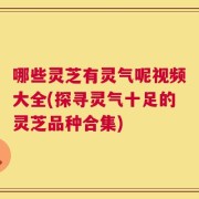 哪些灵芝有灵气呢视频大全(探寻灵气十足的灵芝品种合集)