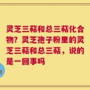 灵芝三萜和总三萜化合物？灵芝孢子粉里的灵芝三萜和总三萜，说的是一回事吗
