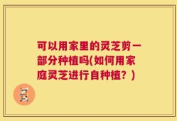 可以用家里的灵芝剪一部分种植吗(如何用家庭灵芝进行自种植？)