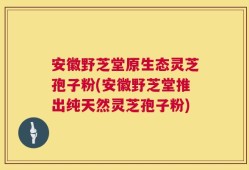 安徽野芝堂原生态灵芝孢子粉(安徽野芝堂推出纯天然灵芝孢子粉)