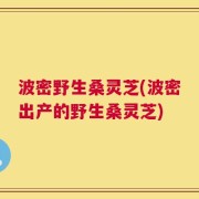 波密野生桑灵芝(波密出产的野生桑灵芝)