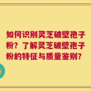 如何识别灵芝破壁孢子粉？了解灵芝破壁孢子粉的特征与质量鉴别？