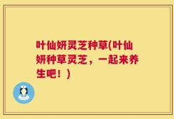 叶仙妍灵芝种草(叶仙妍种草灵芝，一起来养生吧！)
