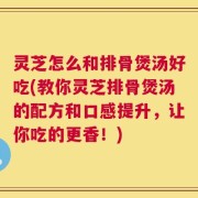 灵芝怎么和排骨煲汤好吃(教你灵芝排骨煲汤的配方和口感提升，让你吃的更香！)