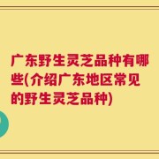 广东野生灵芝品种有哪些(介绍广东地区常见的野生灵芝品种)