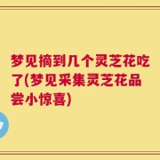 梦见摘到几个灵芝花吃了(梦见采集灵芝花品尝小惊喜)
