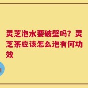 灵芝泡水要破壁吗？灵芝茶应该怎么泡有何功效