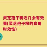 灵芝孢子粉吃几会有效果(灵芝孢子粉的食用时效性)