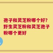 孢子和灵芝粉哪个好？野生灵芝粉和灵芝孢子粉哪个更好